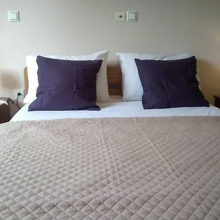 Xristina's Experience