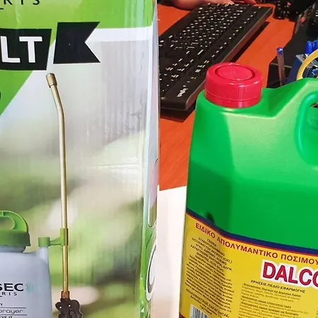 Xristina's Experience * 필로스