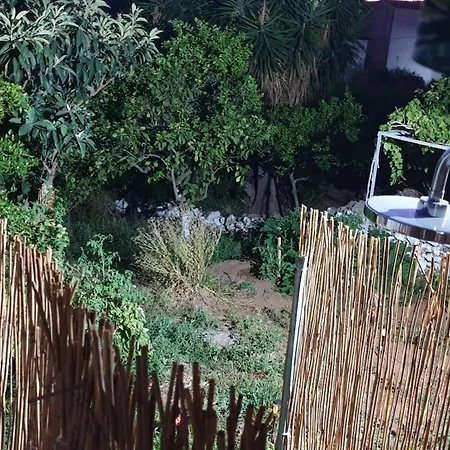 Xristina's Experience