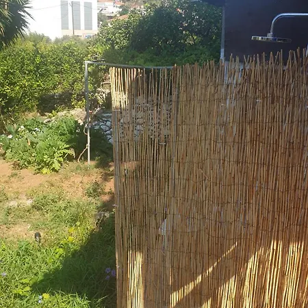 Xristina's Experience *