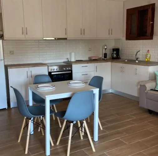 Xristina's Experience