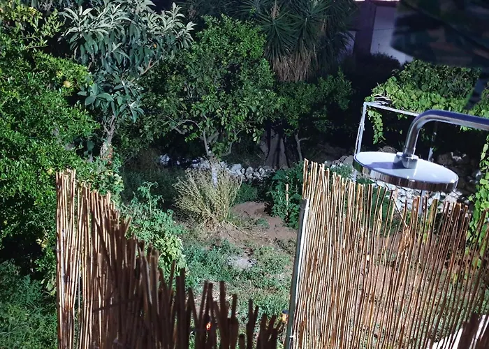 Xristina's Experience